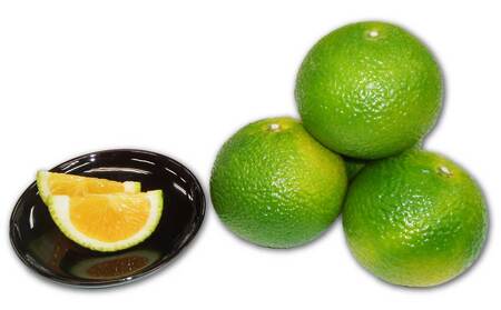 B343-08 スイートスプリング 2L 約5㎏