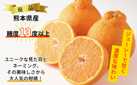 B26-16 ハウスデコポン3㎏