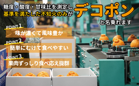 B26-16 ハウスデコポン3㎏