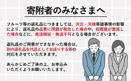 B5-12 露地デコポン3㎏