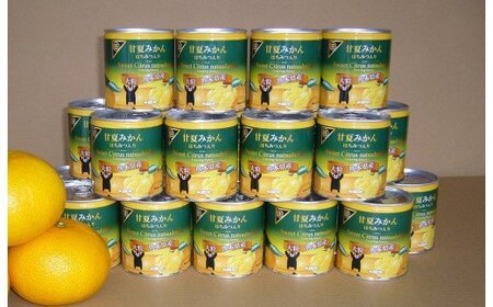 B83-26 甘夏みかん缶詰(24缶入)