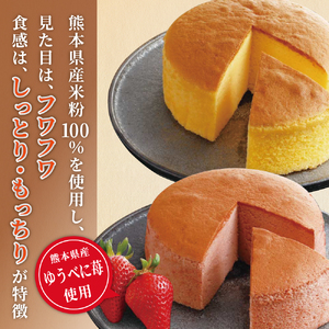 B200-10 熊本県産米粉100％使用　純米カステラ