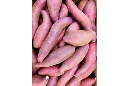 B172-13 熊本県産冷凍焼き芋３ｋｇ