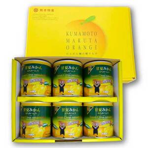 B206-09 甘夏みかん缶詰（6缶入）