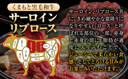 くまもと黒毛和牛 サーロイン リブロース ローススライス 600g 牛肉 冷凍 《30日以内に出荷予定(土日祝除く)》 くまもと黒毛和牛 黒毛和牛 スライス 肉 お肉 しゃぶしゃぶ肉 すきやき肉 熊本県 津奈木町