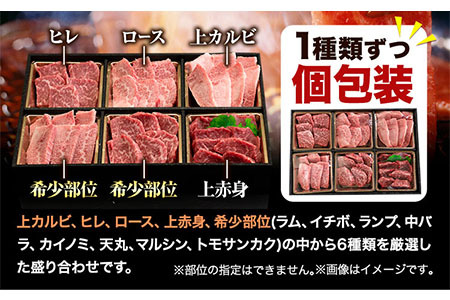 くまもと黒毛和牛 サーロイン リブロース 内モモ 希少部位 500g 牛肉 焼肉用 冷凍 《2026年1月中旬-3月末頃出荷》 くまもと黒毛和牛 黒毛和牛 焼肉 肉 お肉 熊本県 津奈木町