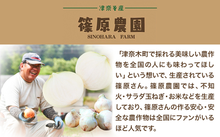 玉ねぎ 節減対象農薬 当地比5割減 サラダ玉ねぎ (中サイズ) 5kg《4月上旬-5月下旬頃出荷》熊本県 葦北郡 津奈木町 篠原農園 野菜 たまねぎ 自然栽培 大小サイズ混合