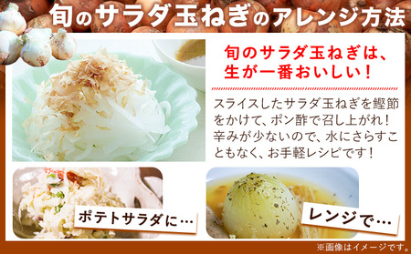 玉ねぎ 節減対象農薬 当地比5割減 サラダ玉ねぎ (中サイズ) 5kg《4月上旬-5月下旬頃出荷》熊本県 葦北郡 津奈木町 篠原農園 野菜 たまねぎ 自然栽培 大小サイズ混合