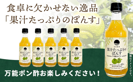 調味料 ポン酢 果汁 たっぷりの ぽんす 早摘みデコ 300ml 6本 《30日以内に出荷予定(土日祝除く)》