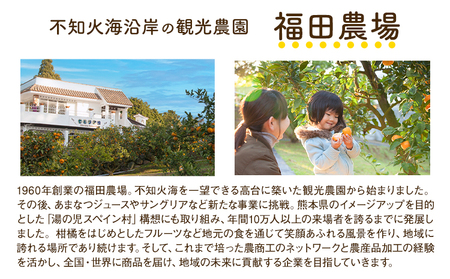 九州果実ジャム 熊本県セット 3個セット 《30日以内に出荷予定(土日祝日除く)》