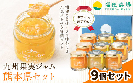 九州果実ジャム 熊本県セット 9個セット《30日以内に出荷予定(土日祝日除く)》福田農場 