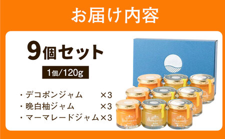 九州果実ジャム 熊本県セット 9個セット《30日以内に出荷予定(土日祝日除く)》福田農場 