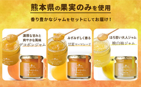 定期九州果実ジャム 熊本県セット 3個セット 12ヶ月定期便 デコポンジャム 甘夏マーマレード 晩白柚ジャム 1個あたり120g《30日以内に出荷予定(土日祝日除く)》