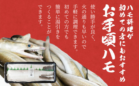 お手頃 ハモ300g《7月上旬-9月末頃出荷予定》