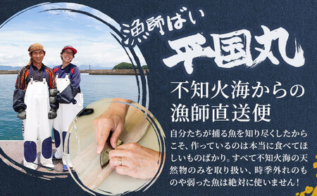 ハモ 肉厚ハモ 300g《7月上旬-9月末頃出荷》