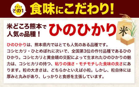 新米 白米 令和7年産 ひのひかり 5kg 《7-14日以内に出荷予定(土日祝除く)》