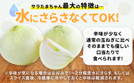 訳あり 玉ねぎ 新玉ねぎ 5kg 《2026年4月中旬-5月末頃に出荷》