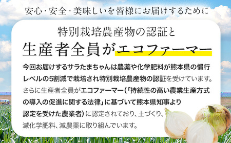 訳あり 玉ねぎ 新玉ねぎ 5kg 《2026年4月中旬-5月末頃に出荷》