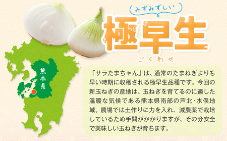 訳あり 玉ねぎ 新玉ねぎ 5kg 《2026年4月中旬-5月末頃に出荷》