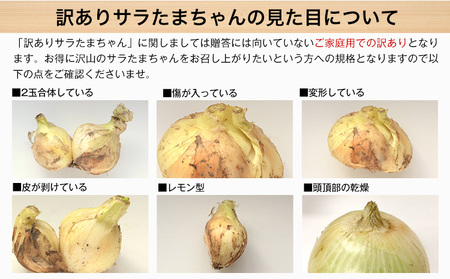 訳あり 玉ねぎ 新玉ねぎ 5kg 《2026年4月中旬-5月末頃に出荷》