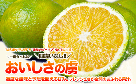 スイートスプリング 7.5kg 《12月下旬～1月下旬出荷》