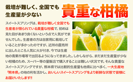 スイートスプリング 7.5kg 《12月下旬～1月下旬出荷》