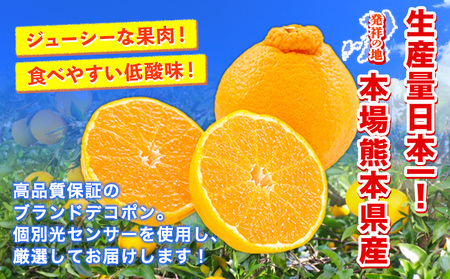 熊本県産デコポン約3.6kg果物 フルーツ 加温デコポン 《1-5日以内に出荷予定(土日祝除く)》