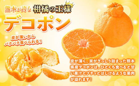 デコポン 約1.8kg フルーツ 果物 デコポン