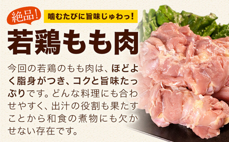 もも肉若鶏 もも肉 約2kg 若鶏 鶏肉 熊本県産 《2026年1月中旬-2月末頃出荷》