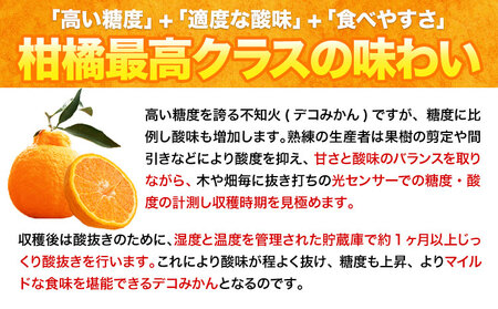 デコポンデコみかん 訳あり 約2kg前後 《2月中旬-4月末頃出荷》