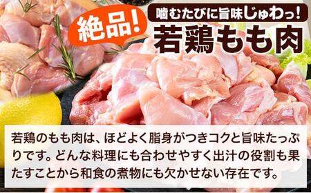 【ふるなびWEEK対象】うまみ鶏3.1㎏もも+むねハーフセット 鶏肉 小分 冷凍FN-Limited-PR