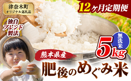 【12ヶ月定期便】熊本県産 無洗米 ブレンド米 肥後のめぐみ米 5kg 熊本県産 ふるさと納税 精米 米 こめ ふるさとのうぜい コメ お米 おこめ《お申込み翌月から出荷》