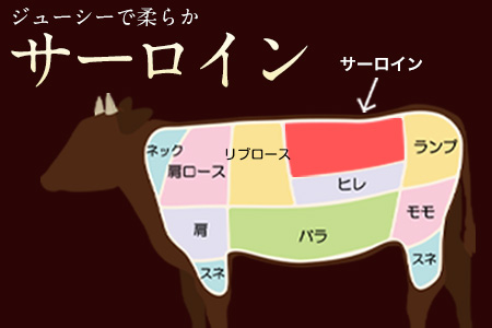 ステーキ 赤身 牛肉 サーロインステーキ  500g