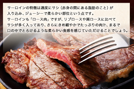 ステーキ 赤身 牛肉 サーロインステーキ  500g