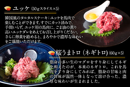 厳選プレミアムスライス馬刺しセット 1kg 馬肉 冷凍 《60日以内に出荷予定(土日祝除く)》 新鮮 さばきたて 真空パッ