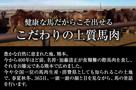 馬刺しの皿盛り(スライス)640g