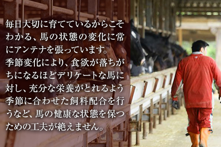 馬刺しの皿盛り(スライス)640g