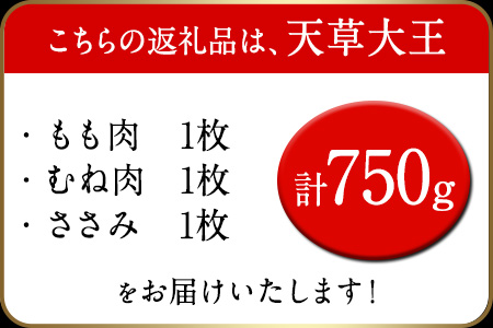 鶏肉 天草大王 ハーフセット 約750g