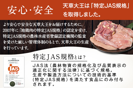 鶏肉 天草大王 ハーフセット 約750g