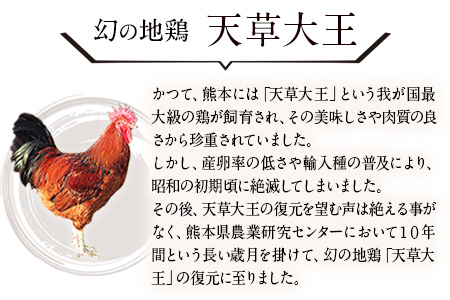 鶏肉 天草大王 贅沢1羽セット 約1.5kg【幻の地鶏】もも・むね・ささみ 各2枚