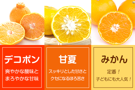 くまもとの果実巡り 3種入り各4個入り 計12個入り《60日以内に出荷予定(土日祝除く)》熊本県 葦北郡 津奈木町 あしきた農業協同組合 JAあしきた 柑橘 デコポン 甘夏 みかん 柑橘 ゼリー 3種セットギフト 包装 送料無料
