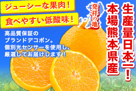 デコポン ご家庭用 デコポン 約3.6kg （約9‐18玉前後 ) フルーツ 柑橘 果物 《2月上旬-4月末頃出荷》フルーツ 果物 蜜柑 柑橘 完熟 デザート 産地直送