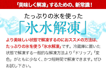 熊本特産馬刺し 【国内肥育】国産赤身馬刺し320g+タレ100ml付き《30日以内に出荷予定(土日祝除く)》 津奈木町 st-p