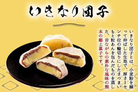 めぐみ工房 いきなり団子 20個 つぶあん こしあん 白あん 《60日以内に出荷予定(土日祝除く)》熊本県 葦北郡 津奈木町 お菓子 スイーツ お茶菓子 お茶請け 冷めてもおいしい さつまいも 芋 餡子 アンコ あんこ ダンゴ ギフト 贈答 お土産 お菓子