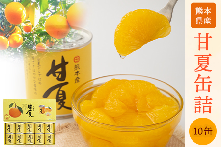 缶詰甘夏缶詰10缶入り