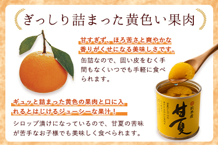 缶詰甘夏缶詰10缶入り