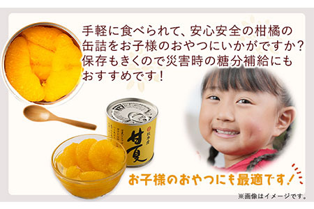 缶詰甘夏缶詰10缶入り