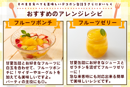 缶詰甘夏缶詰10缶入り