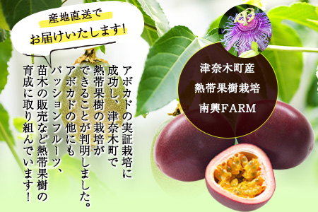 先行予約 パッションフルーツ 約1kg(12～16個) つなぎ南興FARM《7月上旬-7月中旬頃出荷》