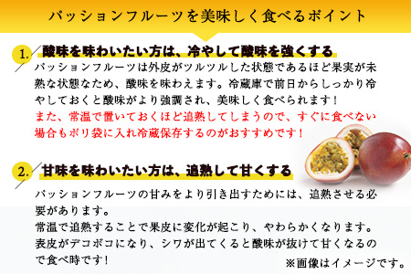 先行予約 パッションフルーツ 約1kg(12～16個) つなぎ南興FARM《7月上旬-7月中旬頃出荷》